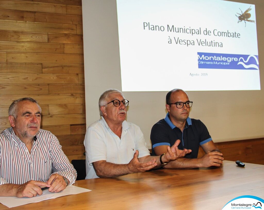 Salto | Palestra - "Vespa Asiática"