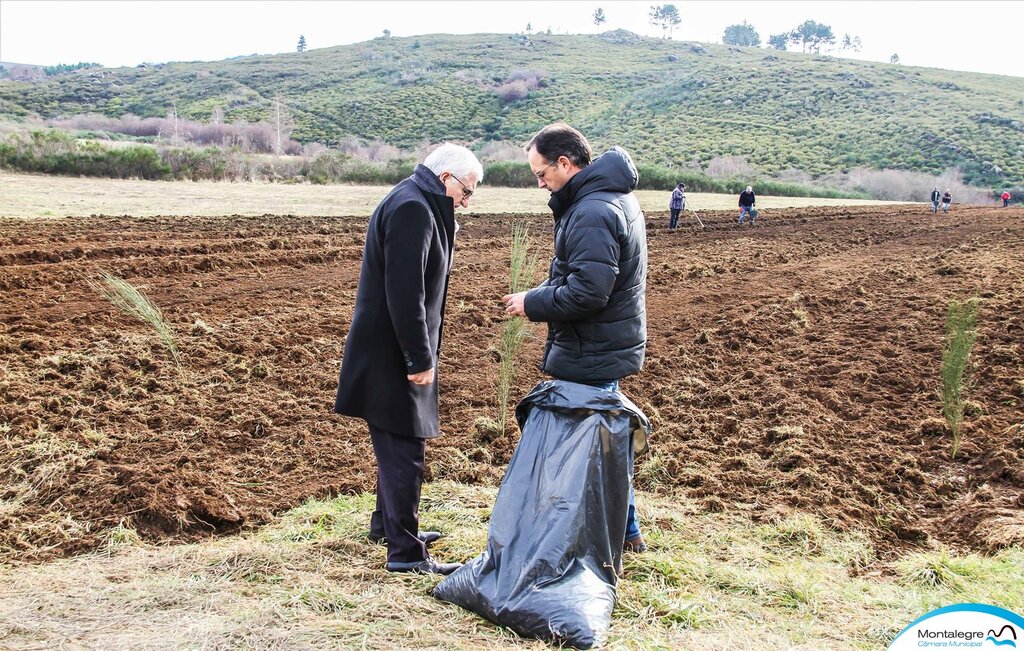 Câmara planta 5 mil bolotas na Quinta da Veiga