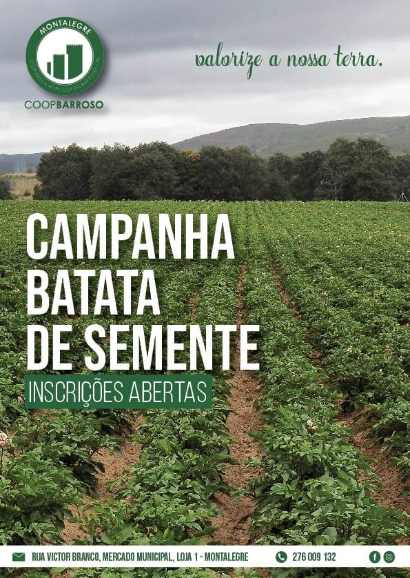 Campanha | Batata de Semente 2021