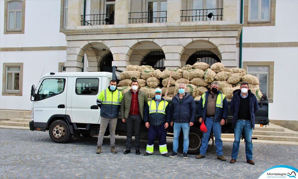 Autarquia oferece 4 mil quilos de batata ao Banco Alimentar