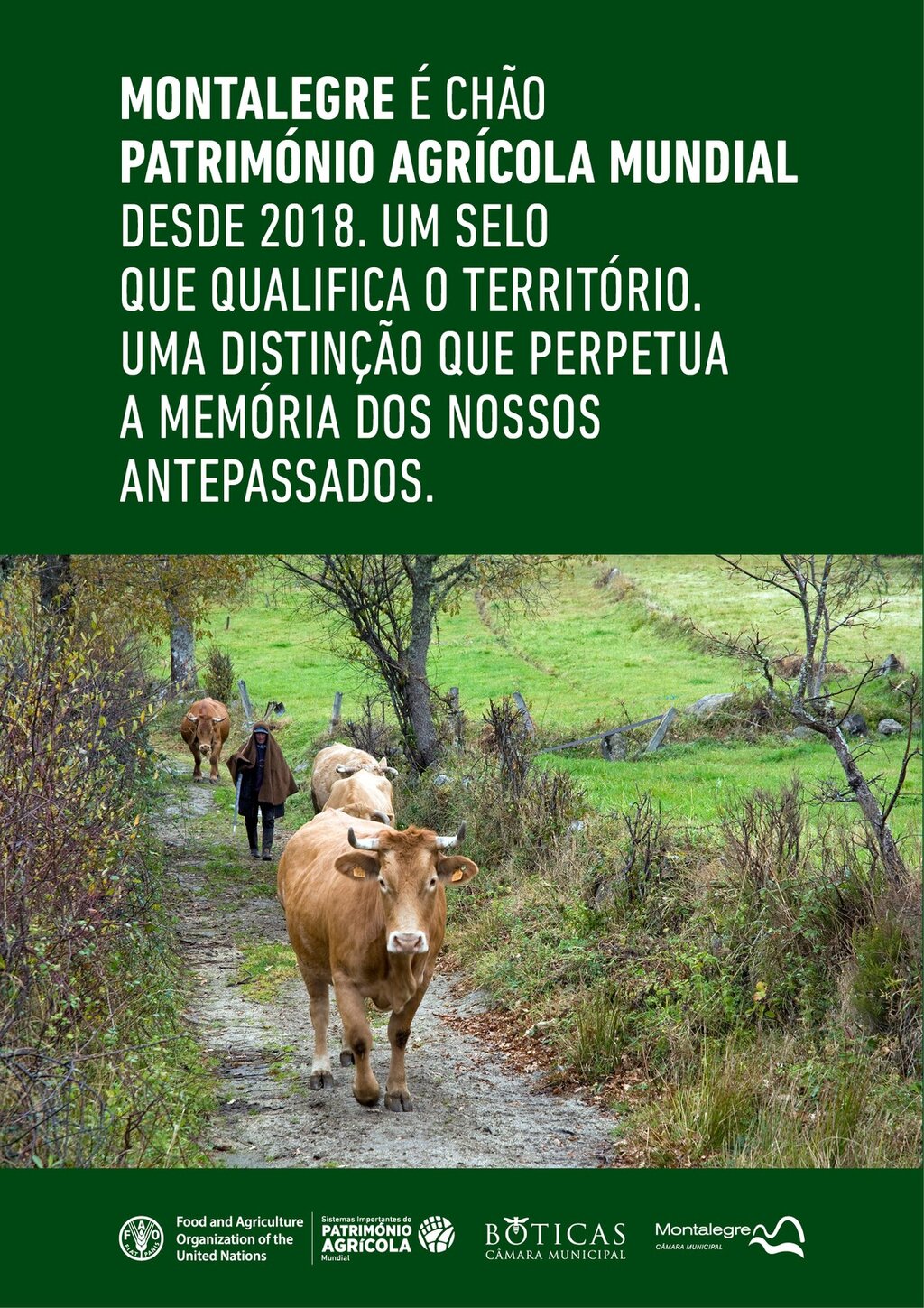 Montalegre | Terra Património Agrícola Mundial