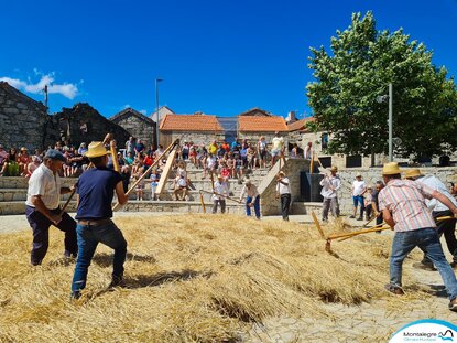 pitoes_das_junias__festival_do_centeio_2022___8_