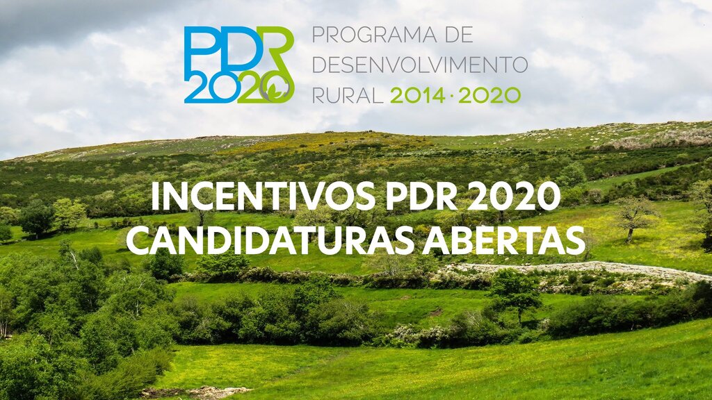 PDR 2020 - Candidaturas Abertas