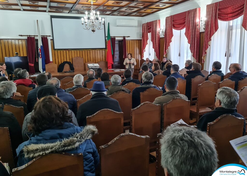 Agricultura | Baldios - Candidaturas (Esclarecimentos)