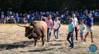 torneio_de_chegas_de_bois_2023__final___8_