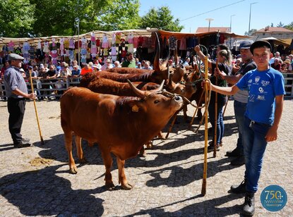 montalegre___feira_do_premio_2023__7_