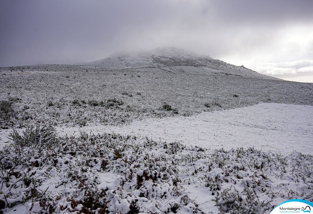 Neve | Larouco pintado de branco