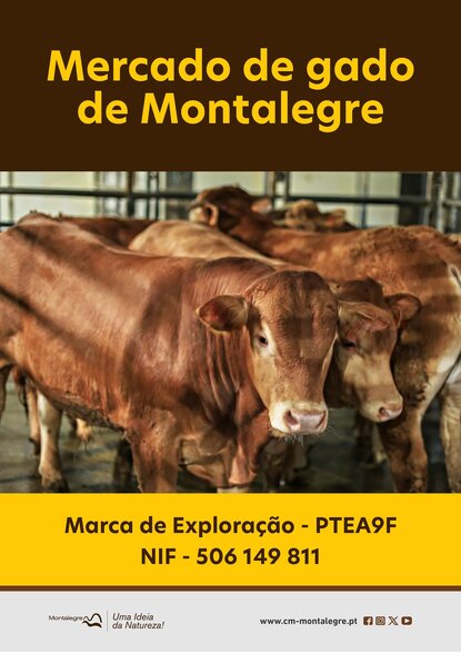 montalegre___mercado_de_gado__informacoes_
