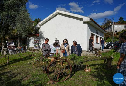 sao_lourenco__cabril__vi_encontro_micologico__6_