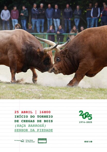 chega_de_bois