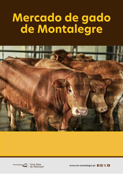 montalegre___mercado_de_gado__informacoes__facebook