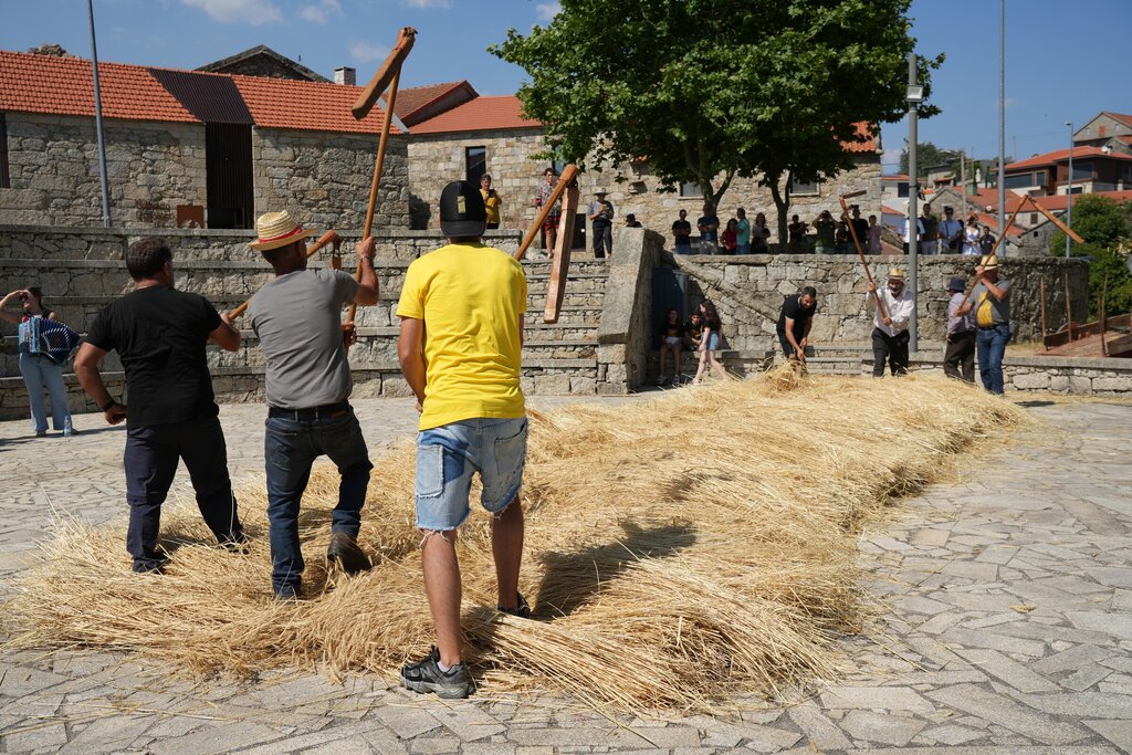 Centear | Festival do Centeio em Pitões das Júnias