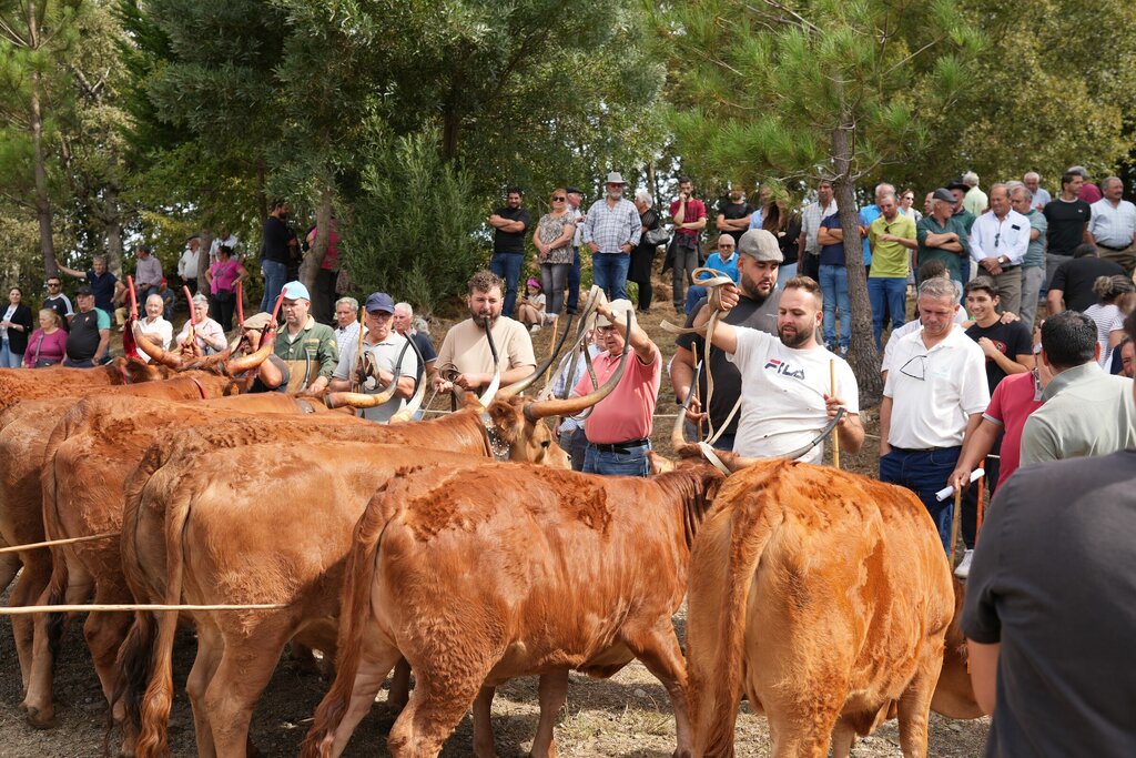 72.º Concurso Pecuário em Ferral