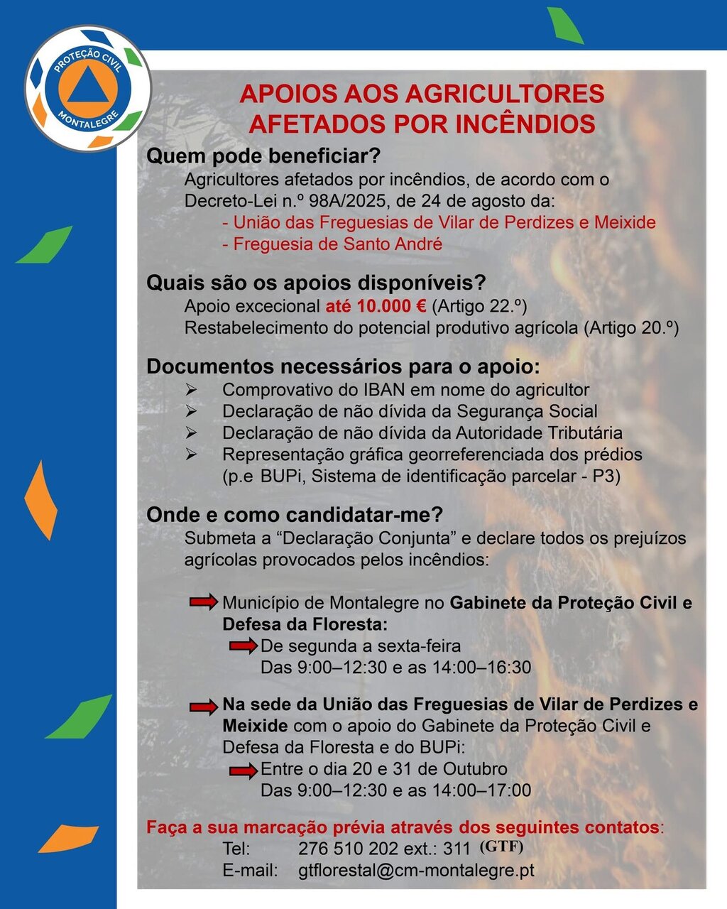 Apoios aos agricultores afetados pelos incêndios | Candidaturas 