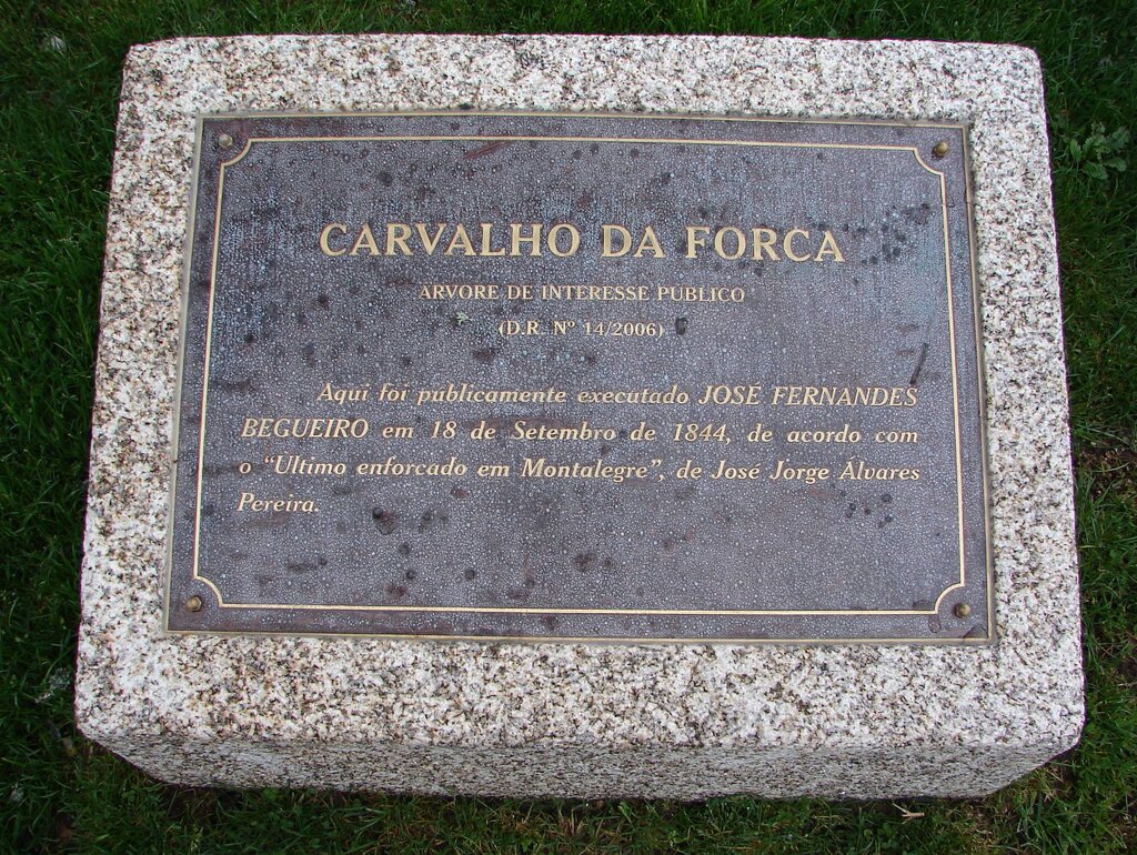 Carvalho da Forca: