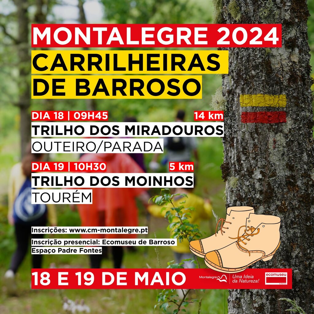 INSTAGRAM_CARRILHEIRAS_POSTER